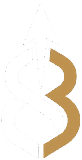 North 8 Solutions logo
